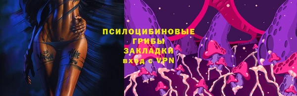 МДПВ Навашино