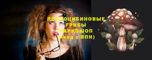 соль ск Надым