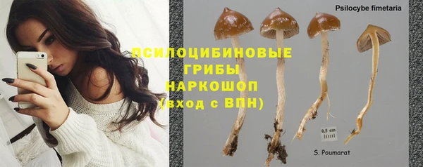 соль ск Надым