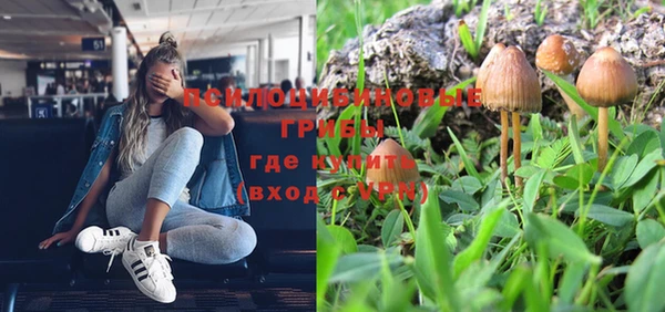 МДПВ Навашино