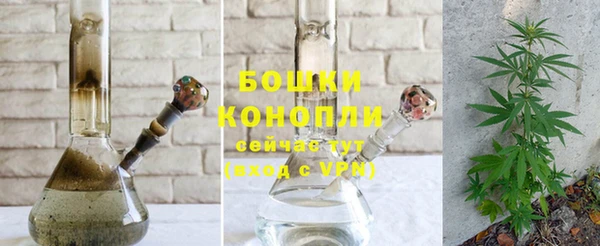 соль ск Надым