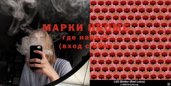 соль ск Надым