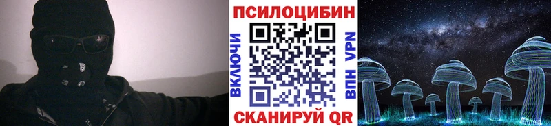 Галлюциногенные грибы Psilocybe Балаково