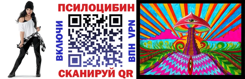 Псилоцибиновые грибы Psilocybine cubensis  Балаково 