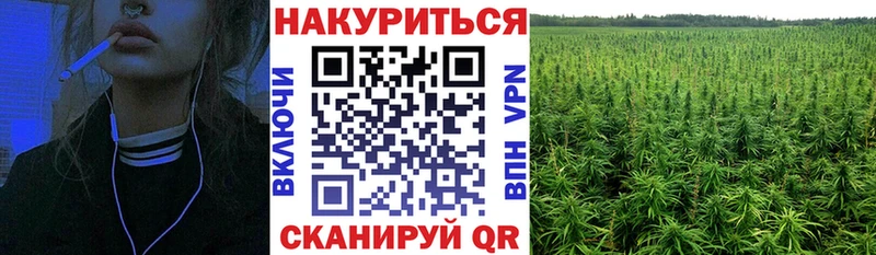Бошки Шишки THC 21%  наркошоп  Балаково 